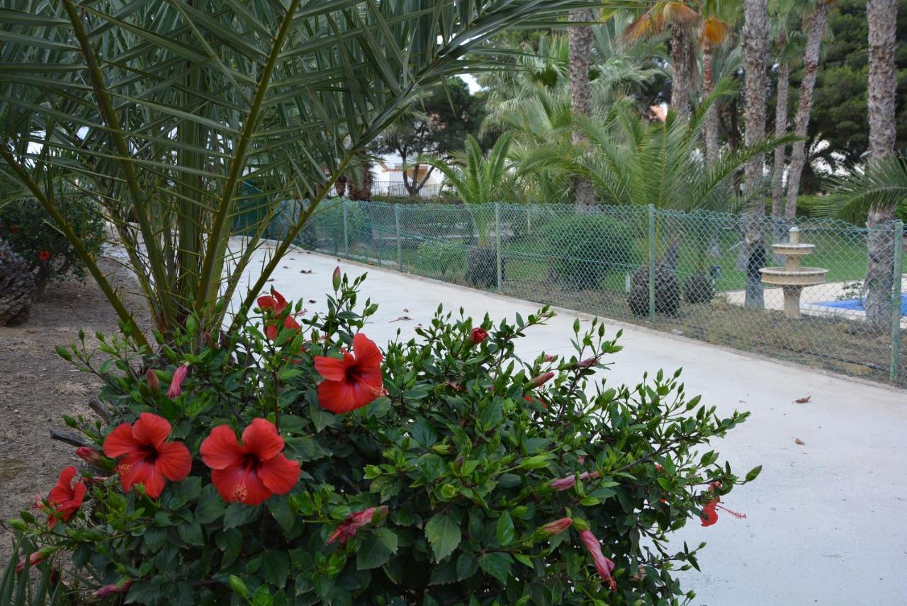 Palmeras, Piscina, Campo De Futbol Y Jardin Privados Mazarrón Zewnętrze zdjęcie